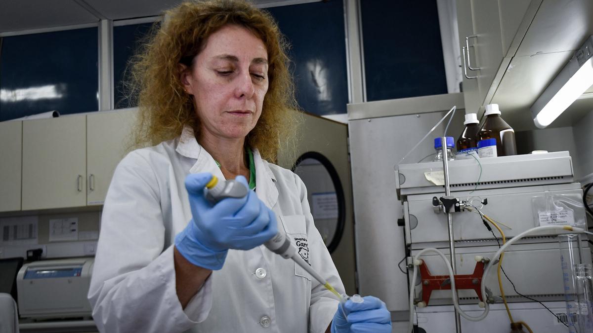  Desarrollaron un modelo pionero para tratar el cáncer de ojo pediátrico 