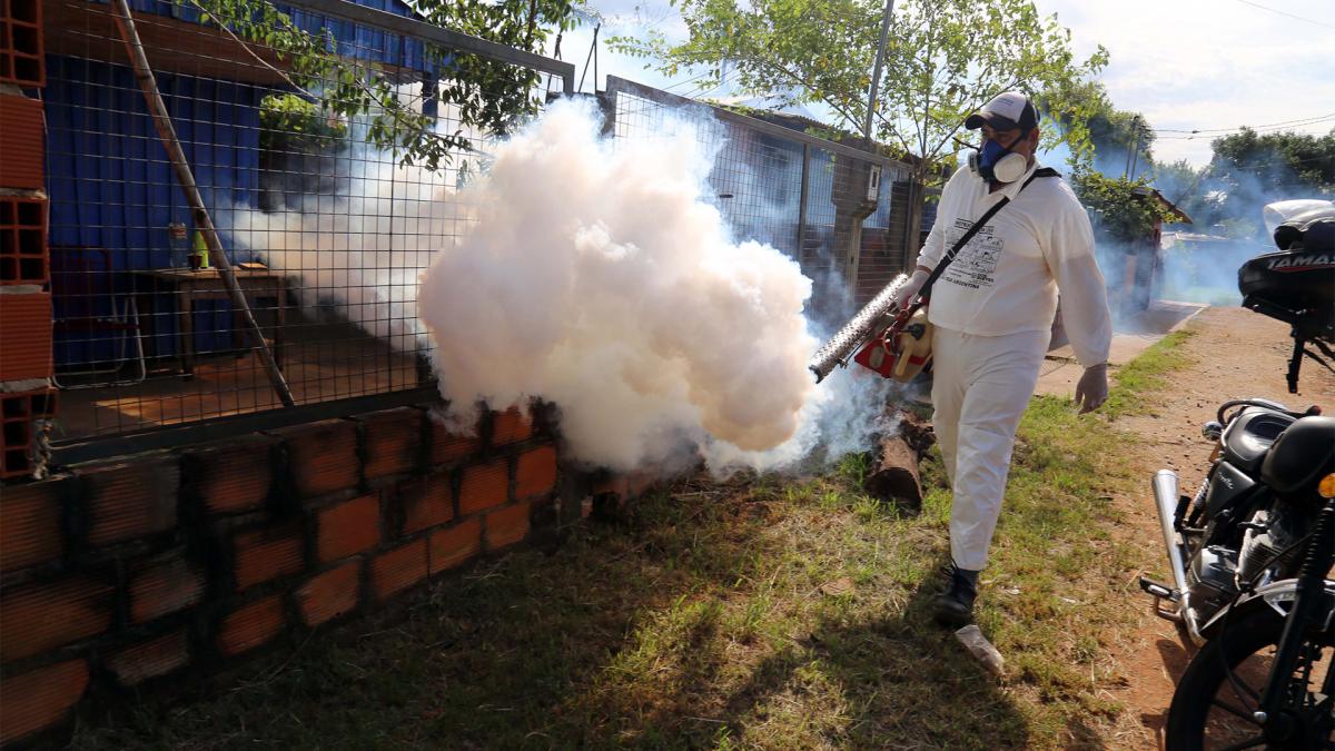 La localidad de San Ignacio, en Misiones, enfrenta una crisis sanitaria y epidemiológica debido al dengue.