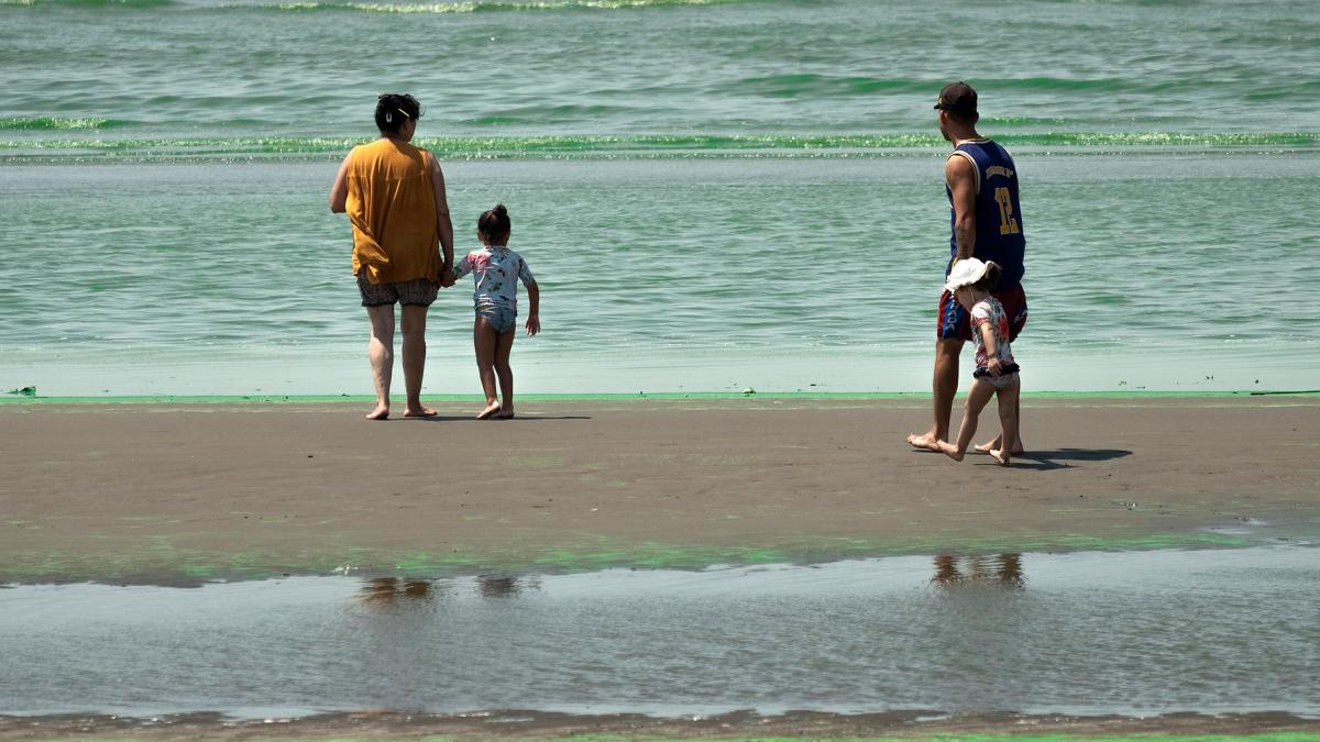  Emiten alertas por presencia de cianobacterias en balnearios del Río de la Plata 