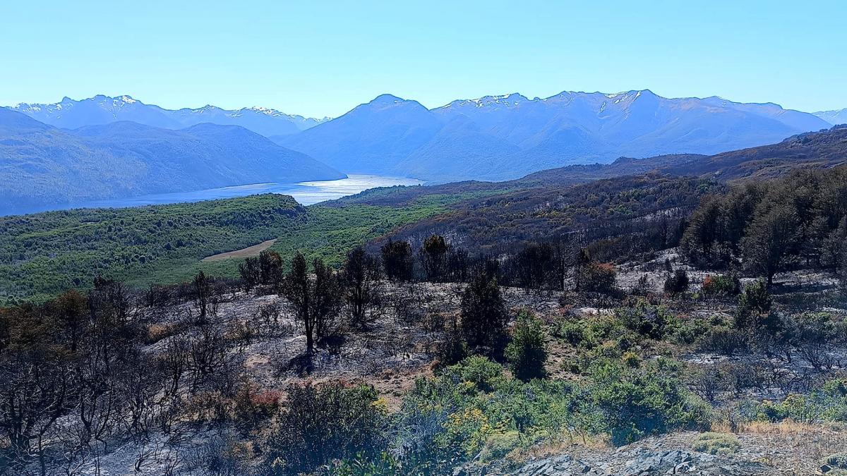  Lograron controlar el incendio 