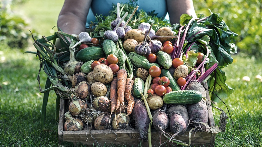 Los productos agropecuarios han experimentado un aumento de 3.8 veces en sus precios desde el campo hasta llegar a las góndolas.