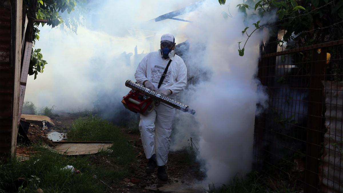 En la provincia de Misiones, se registró un nuevo fallecimiento por dengue, elevando la cifra de víctimas a once.