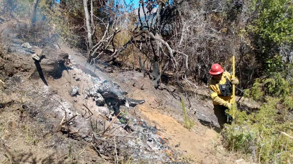  Relevan las áreas afectadas por el incendio en Parque Nacional Los Alerces 